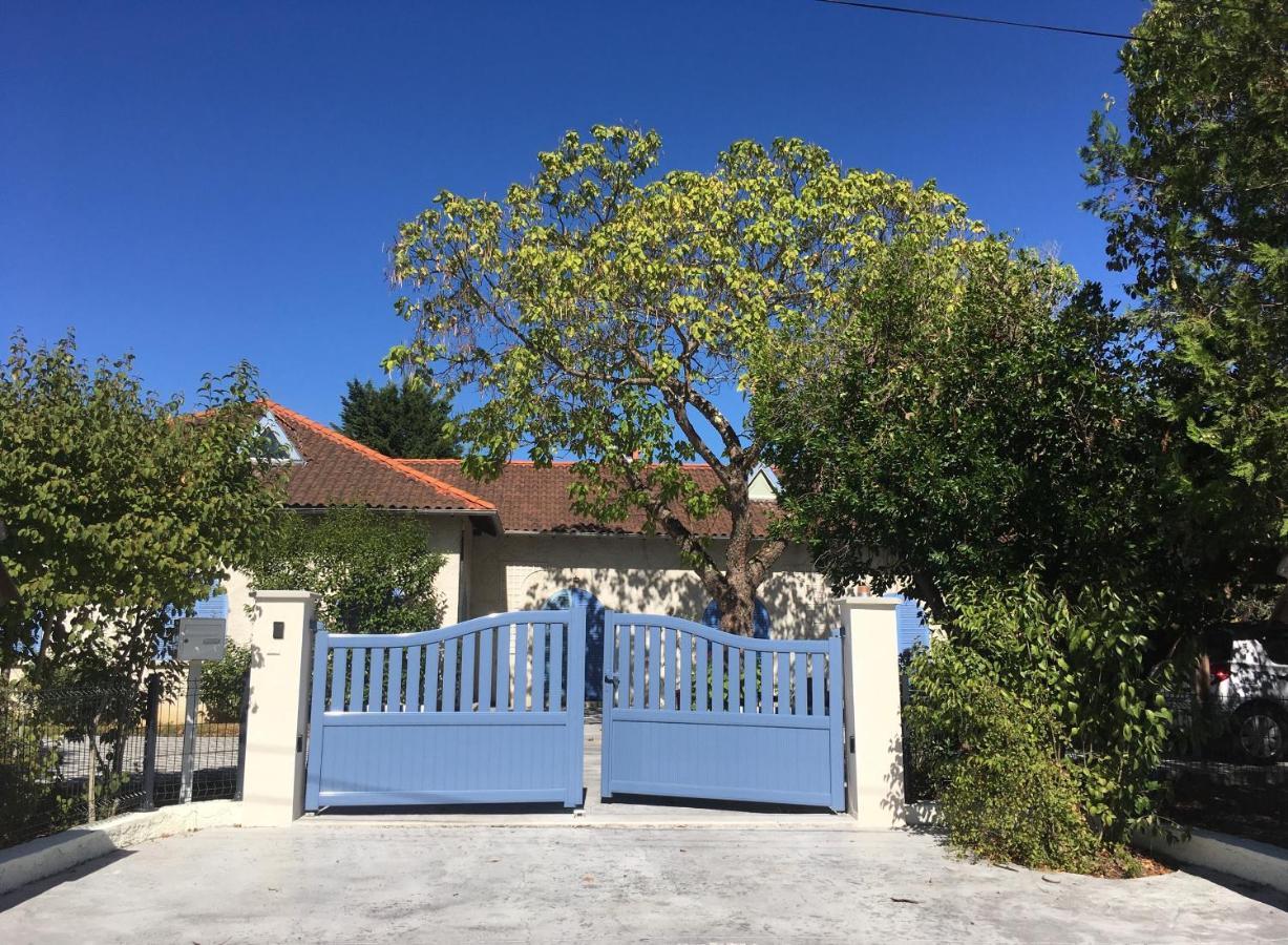 Chambres D'Hote Le Cedre Bleu Saint-Jean  Kültér fotó